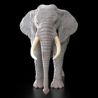 ElephantFront