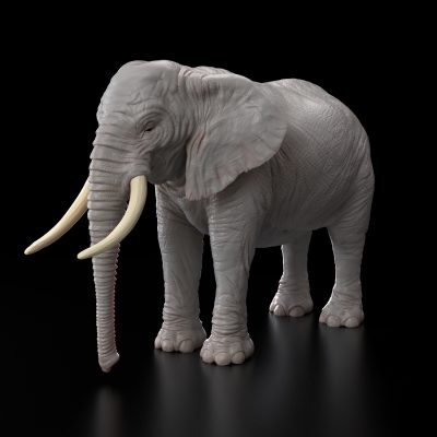 ElephantFrontThreeQuater