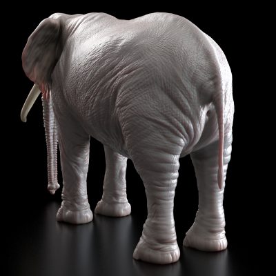 ElephantRearThreeQuarter